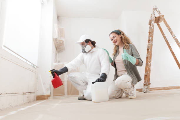 Best Mold Odor Removal Services  in Greene, IA